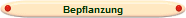 Bepflanzung